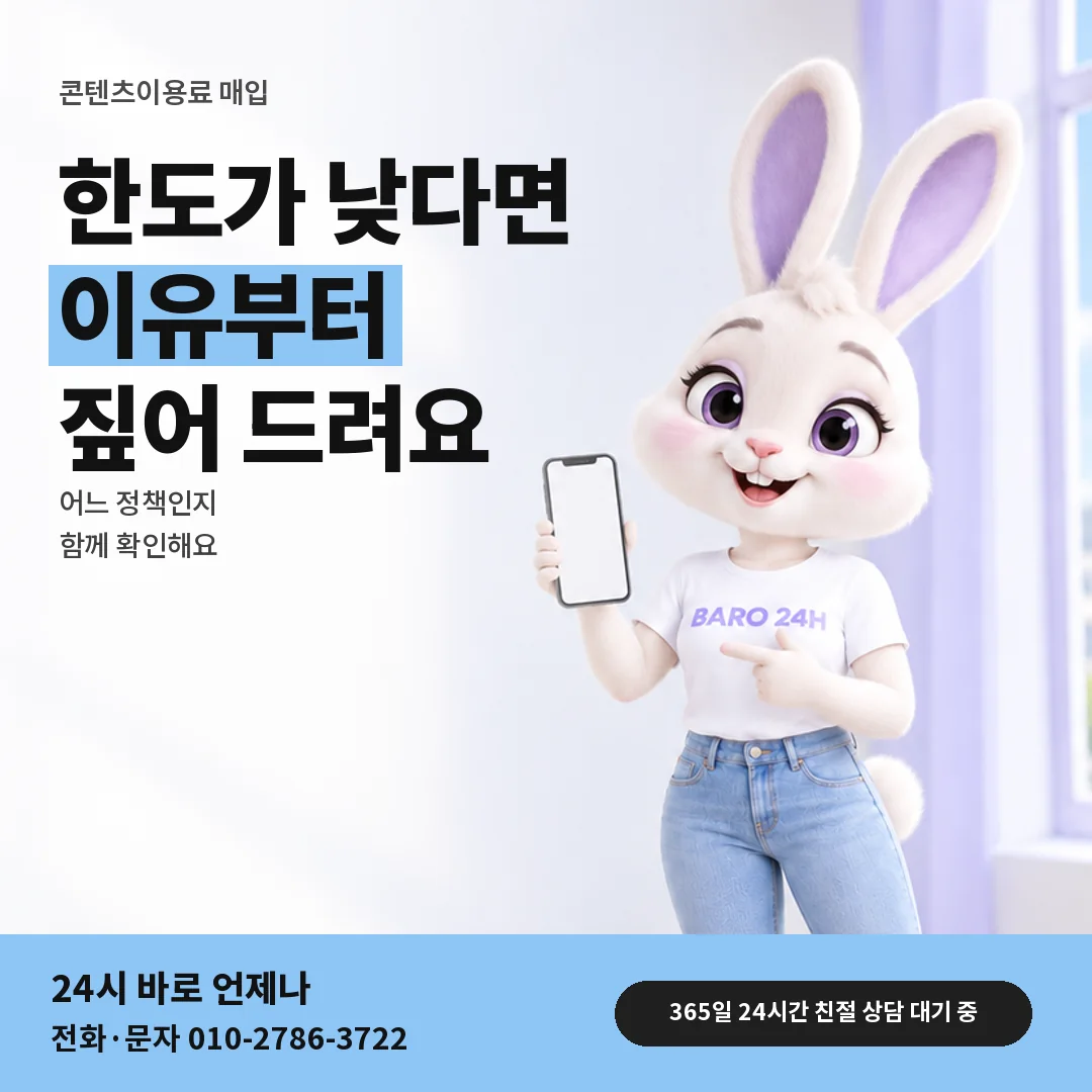 휴대폰을 보며 웃는 BARO 24H 티셔츠를 입은 3D 토끼 캐릭터 옆에 「한도가 낮게 잡힐 때」 제목을 얹은 안내 카드